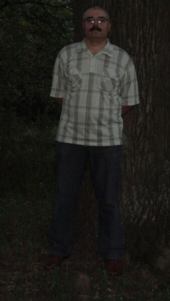  ,   , 44 ,   ,   