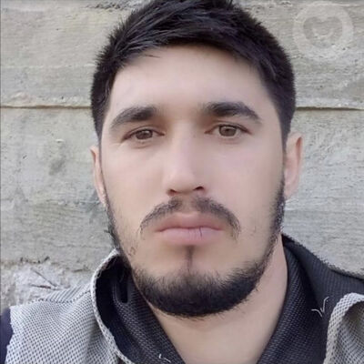  ,    , 33 ,   ,   