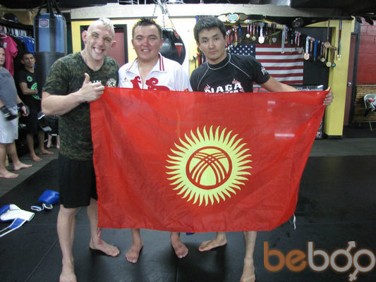  3264486  Demo 123, 40 ,    