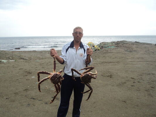  -,   , 52 ,   ,   , c , 