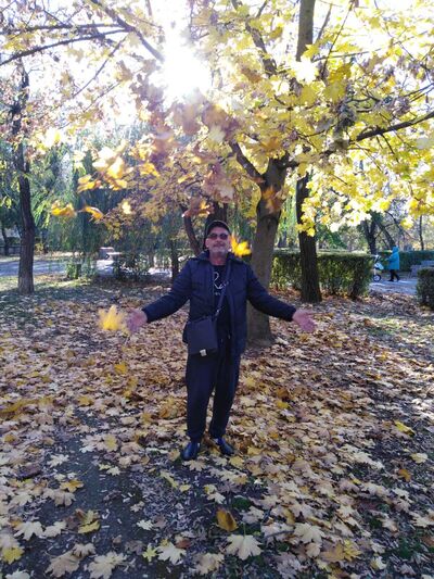  ,   , 55 ,   c 