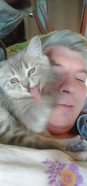  ,   , 54 ,   ,   