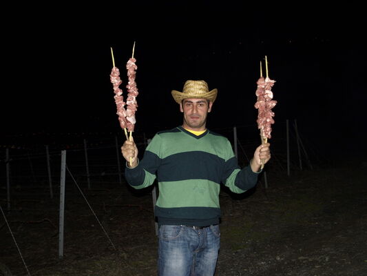  ,   Nikolozi, 36 ,   ,   , c 
