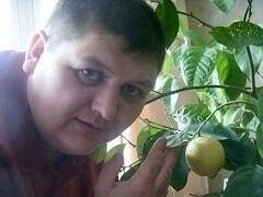  ,   , 56 ,   , 