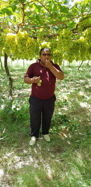  -,   , 43 ,   ,   , c , 