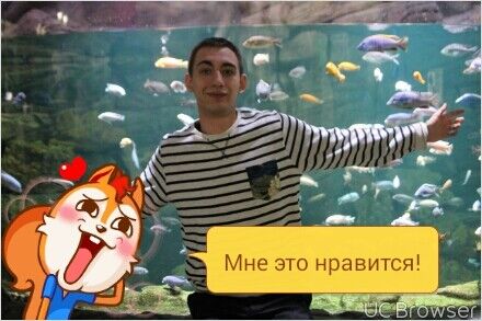 ���������� ������, ���� ������� ����, 30 ���, ������������ ��� ������