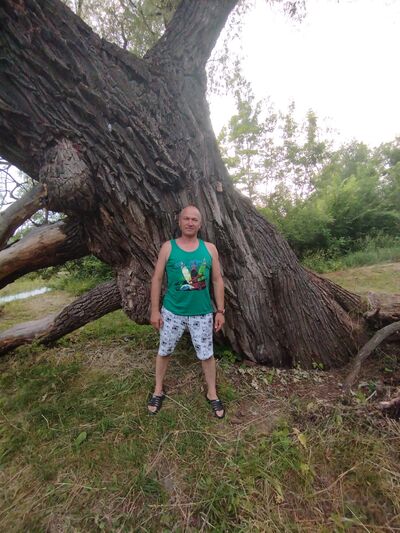   ,   , 55 ,   c , 