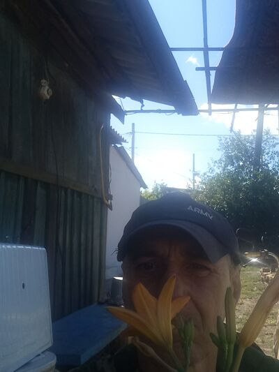  ,   , 66 ,   c , 