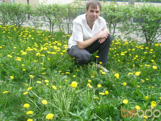  ,   Dimhvat, 47 ,   
