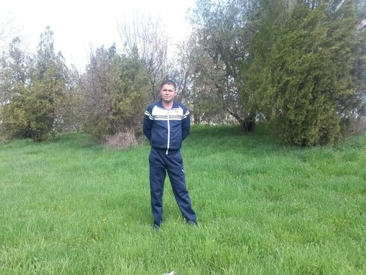  ,   Bek, 38 ,   ,   , c 