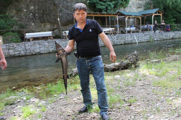  ,   Araz, 54 ,   ,   , c 