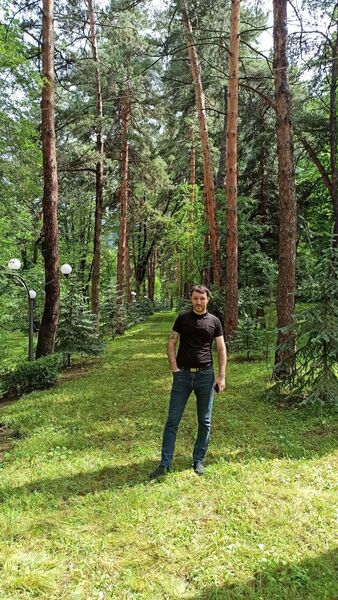  ,   Art, 34 ,   ,   