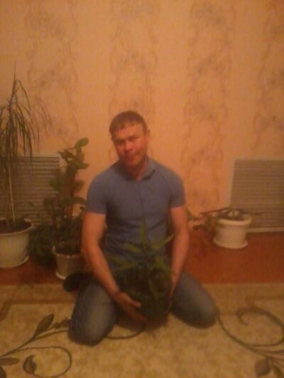  ,   , 41 ,   
