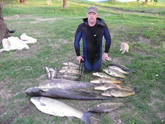  ,   , 49 ,   ,   , c 