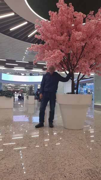  ,   , 61 ,   ,   