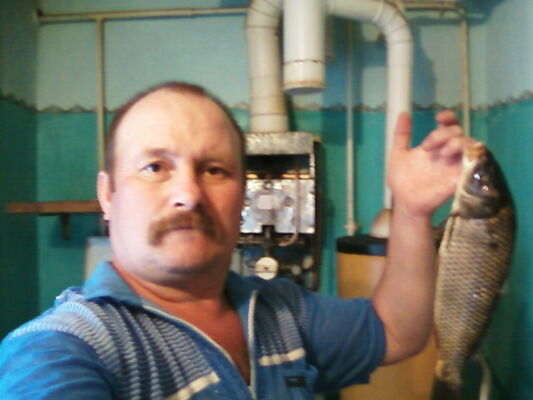  -,   , 61 ,   