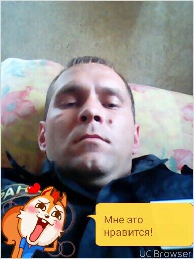  7951706  , 36 ,    