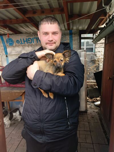  ,   Alexey, 34 ,   ,   , c 