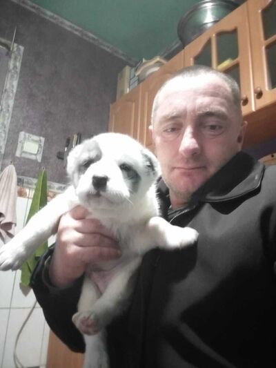  ,   , 41 ,   ,   