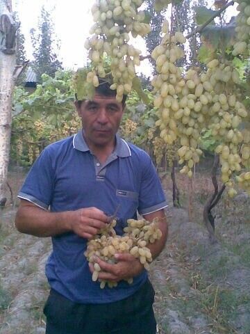  9896246  Maksad, 49 ,    