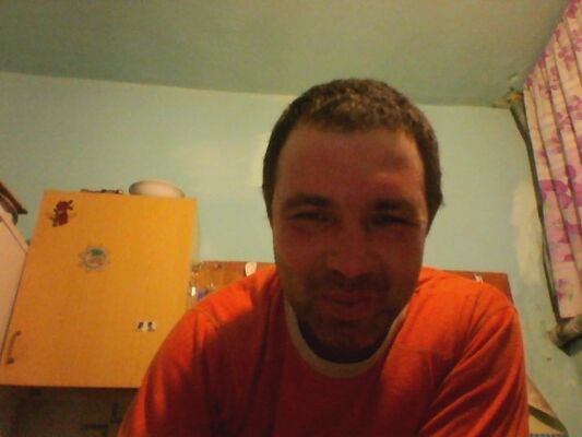 -,   , 51 ,   