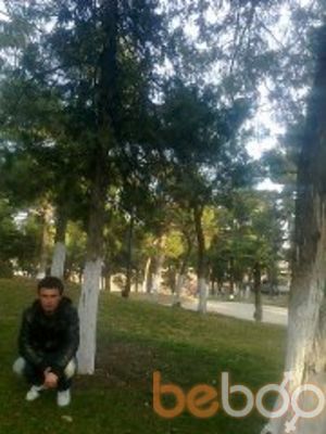  ,   Vaso, 36 ,   