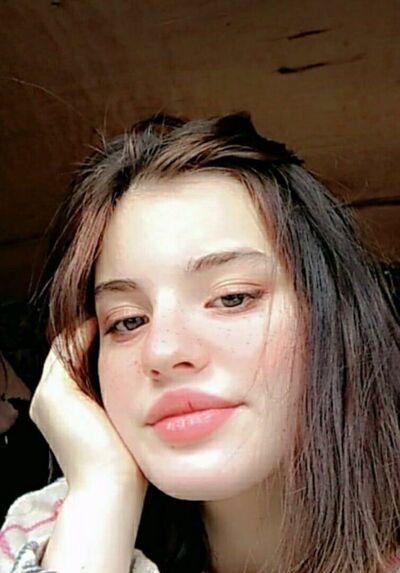  --,   , 22 ,   ,   