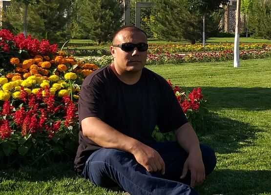  ,   , 44 ,  