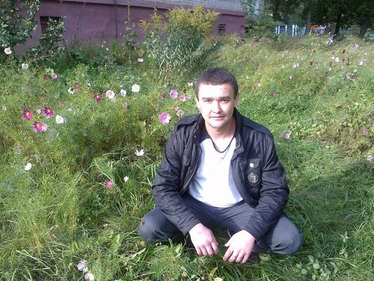  ,   Yandex, 40 ,   