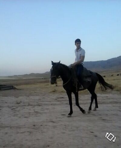  -,   Samir, 29 ,   