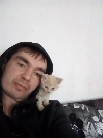  ,   , 41 ,   ,   