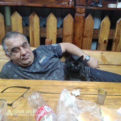  ,   , 53 ,   ,   