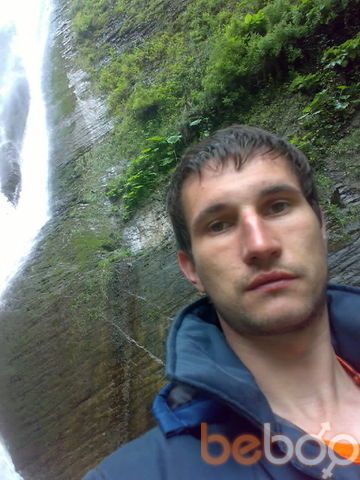  ,   Doberman, 41 ,   ,   , c , 