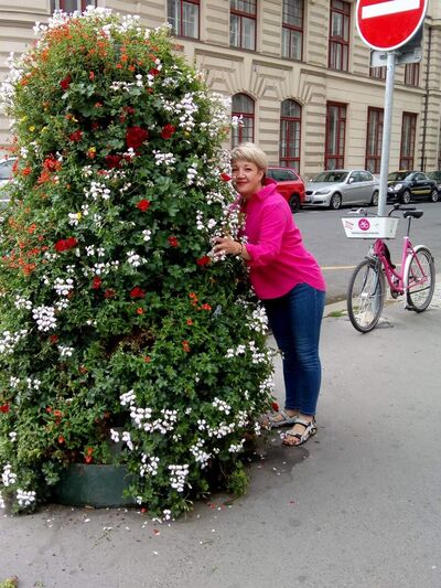  ,   , 55 ,   ,   , c 