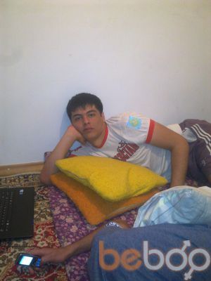  ,   Timur, 36 ,     , c 