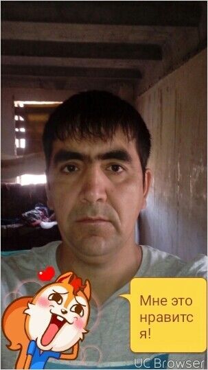 ,   , 41 ,   