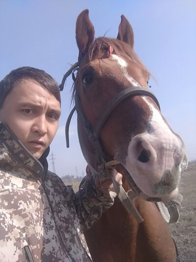  ,   , 35 ,   , 
