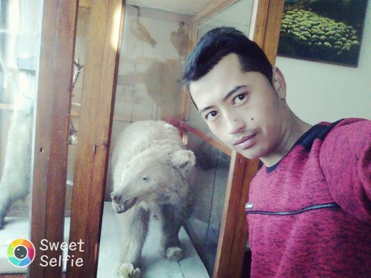  ,   , 29 ,   ,   , c 