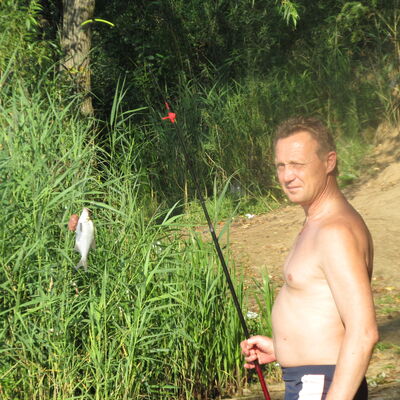  ,   , 55 ,   
