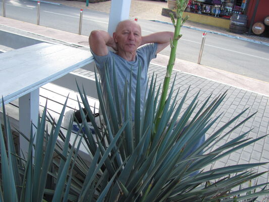  ,   Viktor, 62 ,     , c 