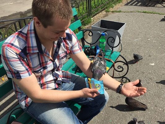  ,   , 36 ,   ,   , c , 