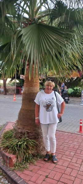  ,   , 62 ,   ,   