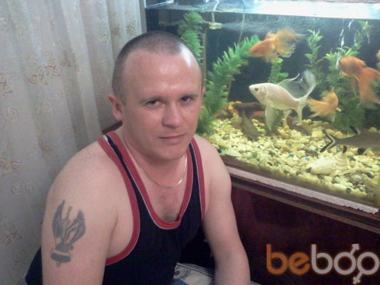 ,   Irbis, 46 ,   ,   , c 