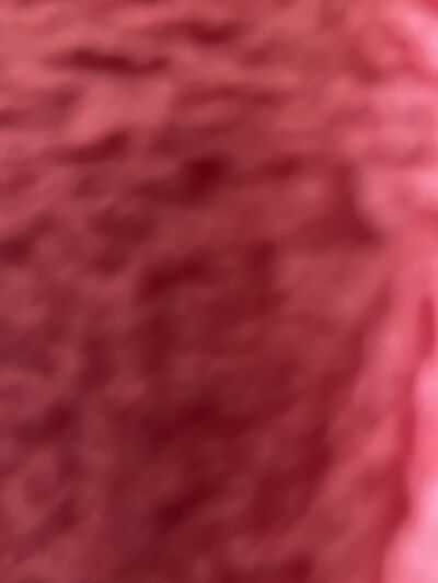  ,   Edgar, 28 ,   ,   , 
