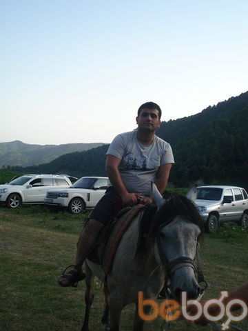  ,   Zevs, 41 ,   ,   , c 