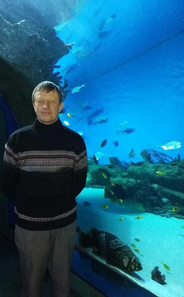  ,   ALEKS, 55 ,     , c 