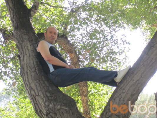  ,   MAXO, 65 ,  
