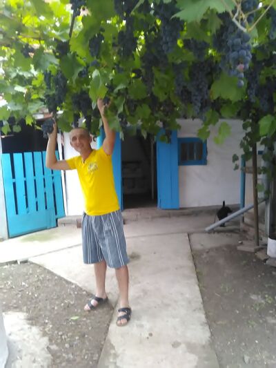  ,   , 46 ,   ,   , c 
