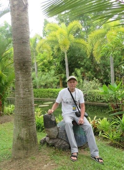  ,   , 61 ,   ,   , c 
