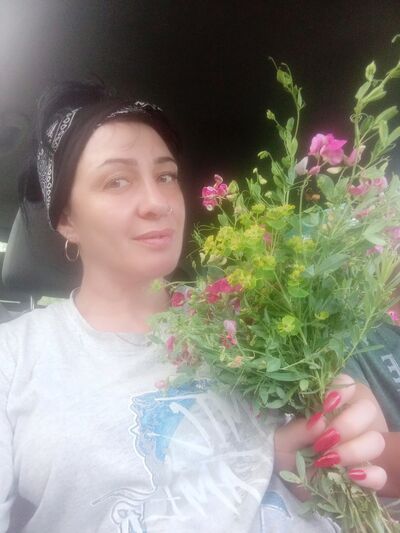  ,   , 41 ,   ,   